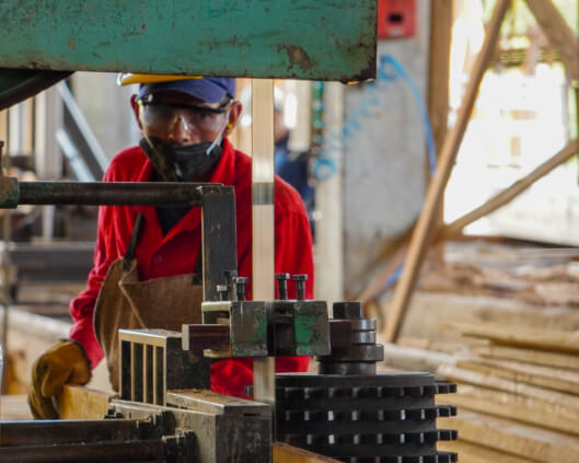 Somos una empresa familiar dedicada a la producción de madera de alta calidad para satisfacer las necesidades de nuestros clientes.